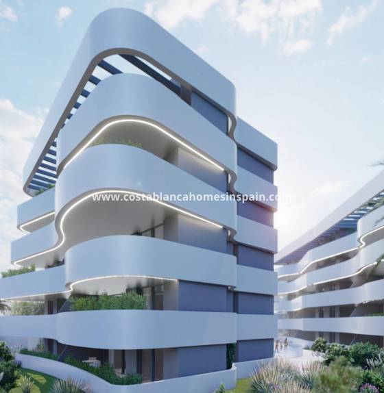 Penthouse - Nouvelle construction - Guardamar del Segura - El Raso