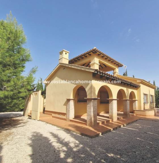 Villa - Nouvelle construction - Fuente alamo de Murcia - LAS PALAS