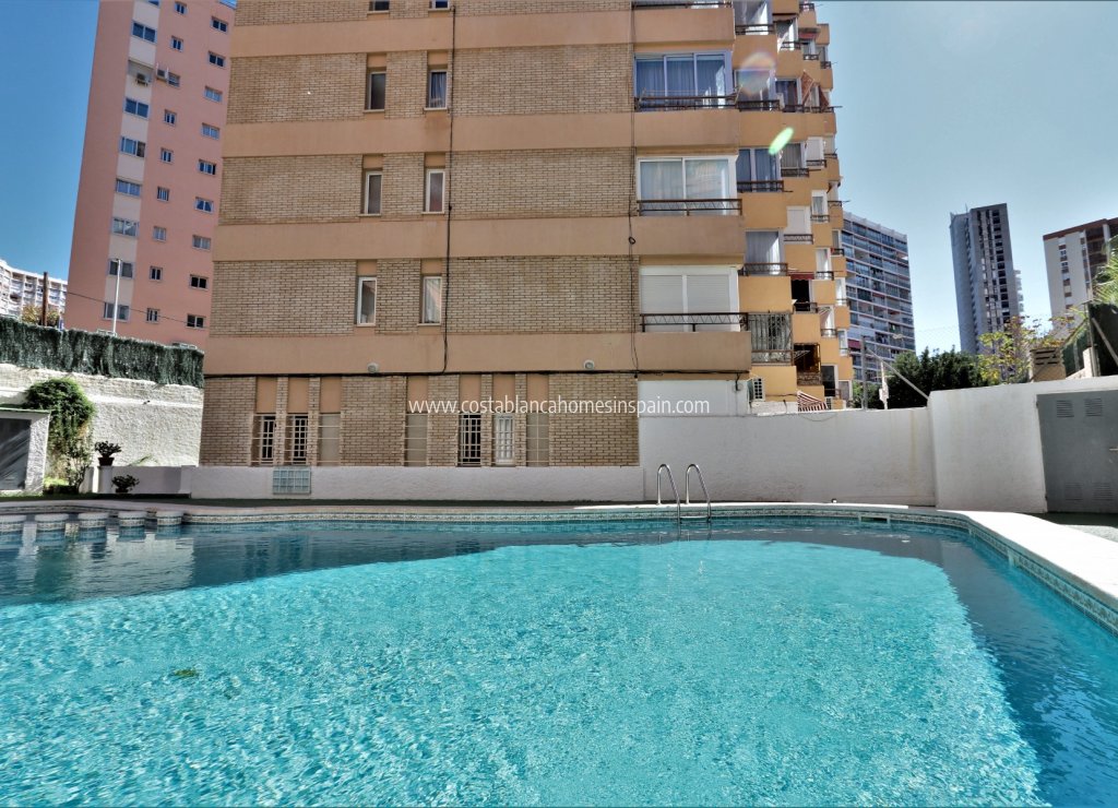 Alquiler a largo plazo - Apartment - Benidorm - Rincon de Loix Llano