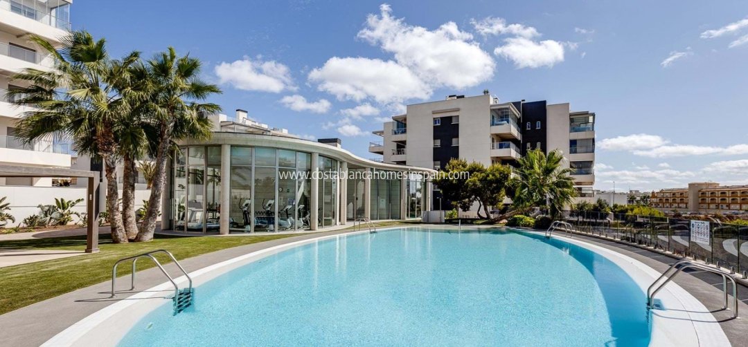 Apartment - Használt - Los Dolses - Los Dolses