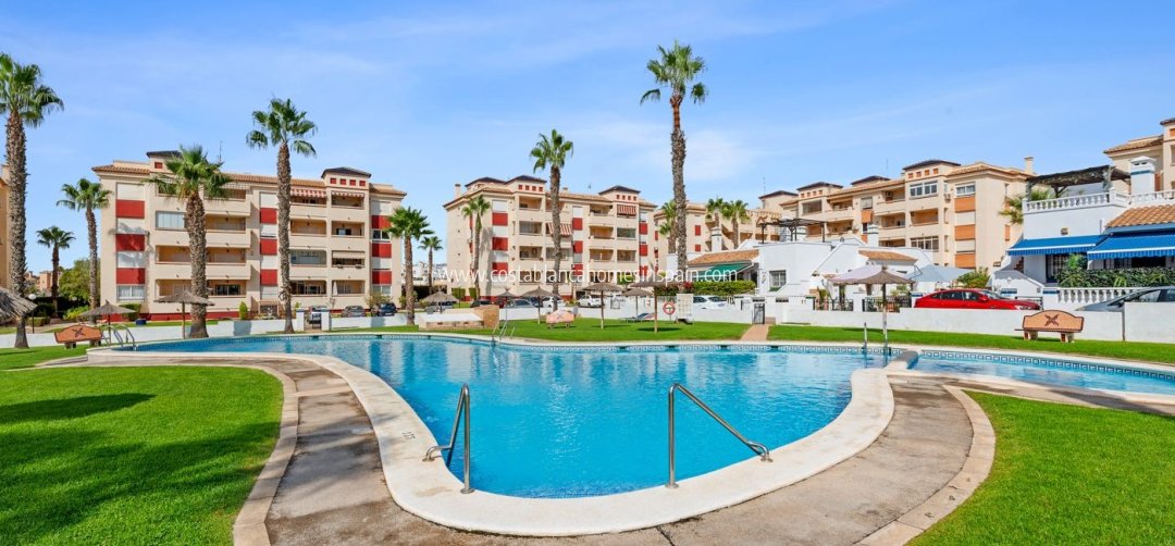 Apartment - Használt - Playa Flamenca - Orihuela Costa