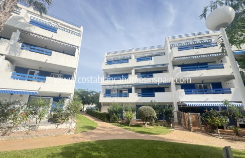 Apartment - Használt - Playa Flamenca - Orihuela Costa