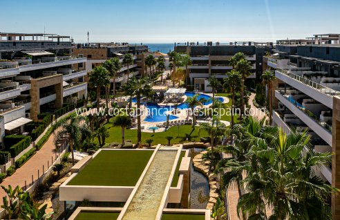 Apartment - Használt - Playa Flamenca - Playa Flamenca