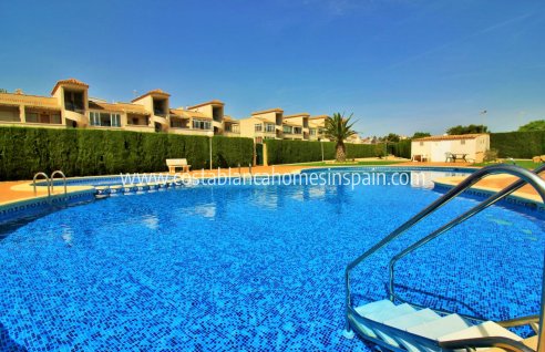 Apartment - Használt - Punta Prima - Punta Prima
