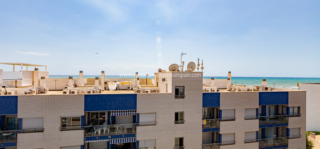 Apartment - Használt - Torrevieja - Beach