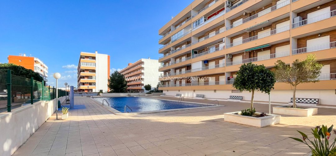 Apartment - Használt - Torrevieja - Punta Prima