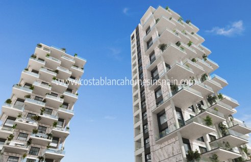Apartment - New Build - Calpe - Calpe