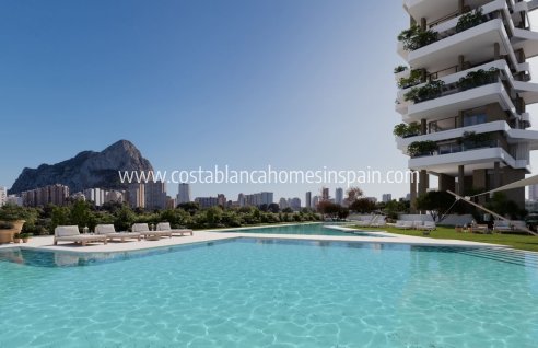 Apartment - New Build - Calpe - NB-80407