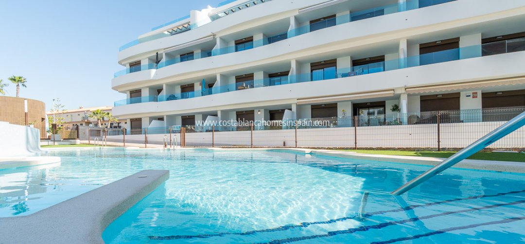 Apartment - New Build - Playa Flamenca - Playa Flamenca