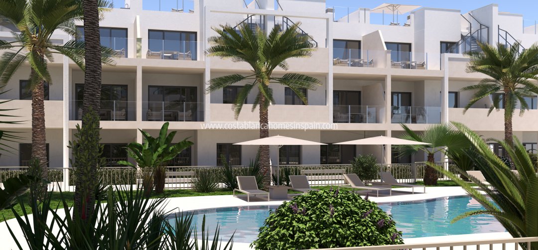 Apartment - New Build - San Cayetano - San Cayetano
