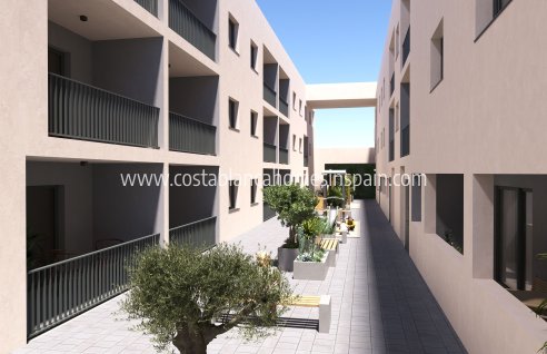 Apartment - New Build - San Miguel de Salinas - San Miguel de Salinas