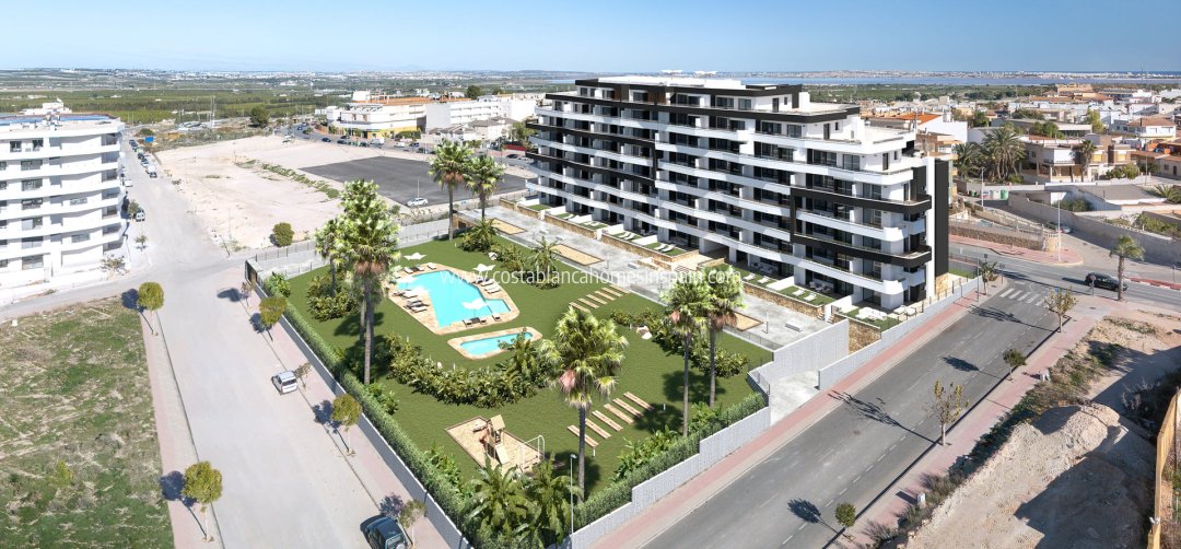 Apartment - New Build - San Miguel de Salinas - San Miguel de Salinas