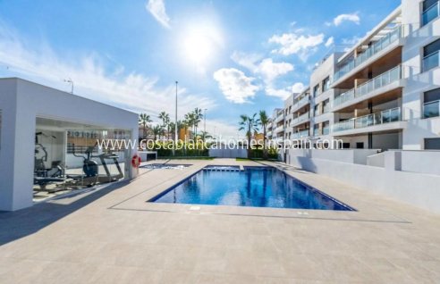 Apartment - New Build - Torrevieja - Torrevieja