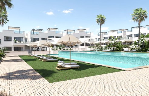Apartment - New Build - Torrevieja - Torrevieja