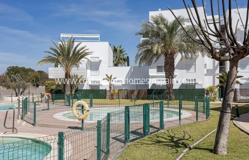 Apartment - New Build - Vera - Vera