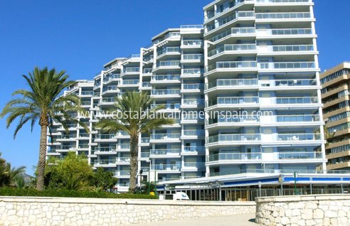 Apartment - Nouvelle construction - Calpe - Calpe