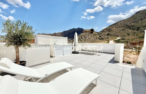 Apartment - Nouvelle construction - Cox - Cox