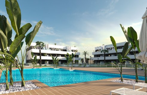 Apartment - Nouvelle construction - Guardamar del Segura - Guardamar del Segura