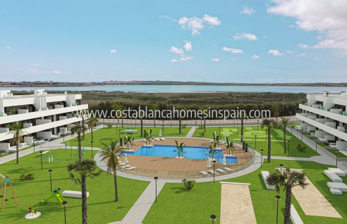 Apartment - Nouvelle construction - Guardamar del Segura - Guardamar del Segura