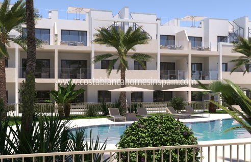 Apartment - Nouvelle construction - San Cayetano - San Cayetano
