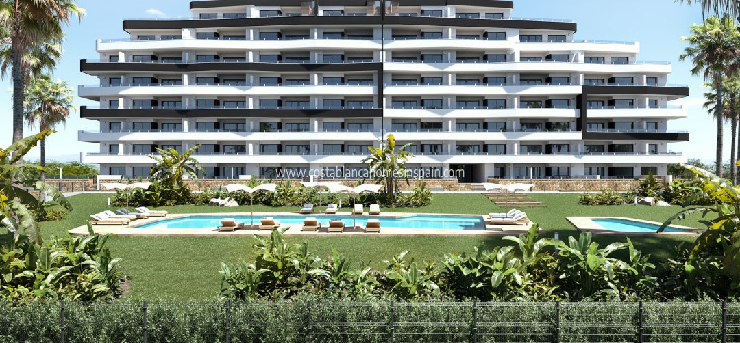 Apartment - Nouvelle construction - San Miguel de Salinas - San Miguel de Salinas