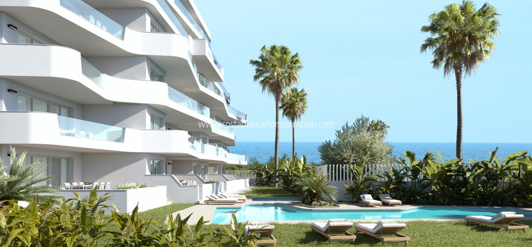 Apartment - Nouvelle construction - Torre de la Horadada - Torre de la Horadada