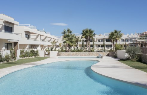 Apartment - Nouvelle construction - Torrevieja - Torrevieja