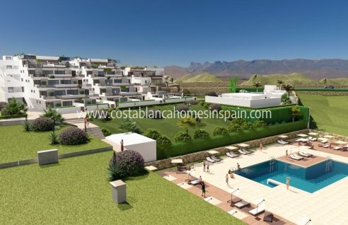 Apartment - Nouvelle construction - Vera - Vera