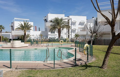 Apartment - Nouvelle construction - Vera - Vera
