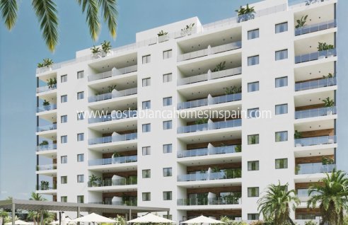 Apartment - Nybygg - Benidorm - Benidorm
