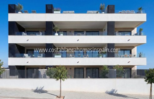 Apartment - Nybygg - Benijófar - Benijófar