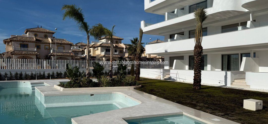 Apartment - Nybygg - Cabo Roig - Cabo Roig