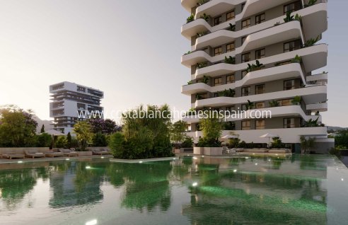 Apartment - Nybygg - Calpe - Calpe