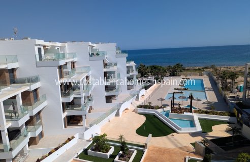 Apartment - Nybygg - Denia - Denia