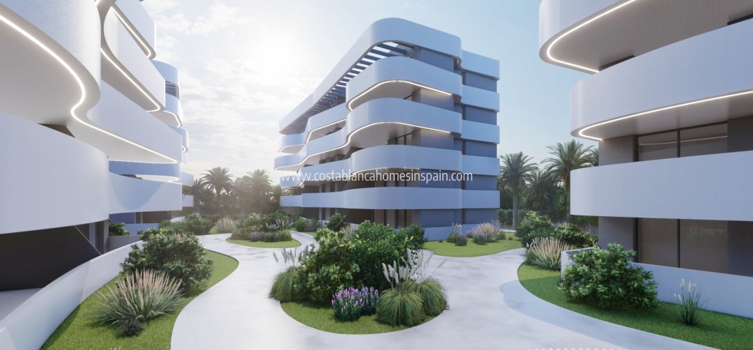 Apartment - Nybygg - Guardamar del Segura - Guardamar del Segura