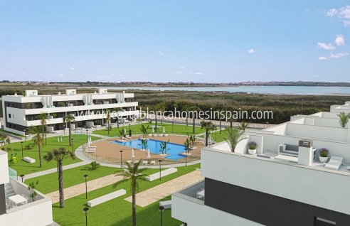 Apartment - Nybygg - Guardamar del Segura - Guardamar del Segura