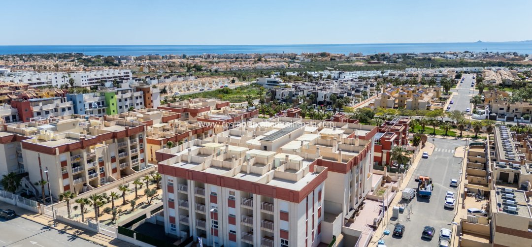 Apartment - Nybygg - Orihuela Costa - Orihuela Costa