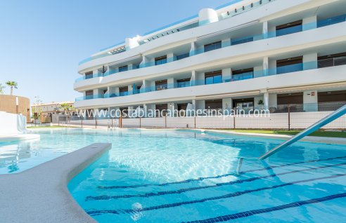 Apartment - Nybygg - Playa Flamenca - Playa Flamenca