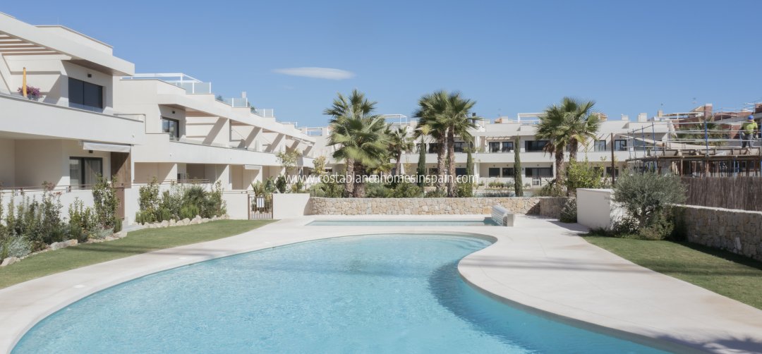 Apartment - Nybygg - Torrevieja - Torrevieja