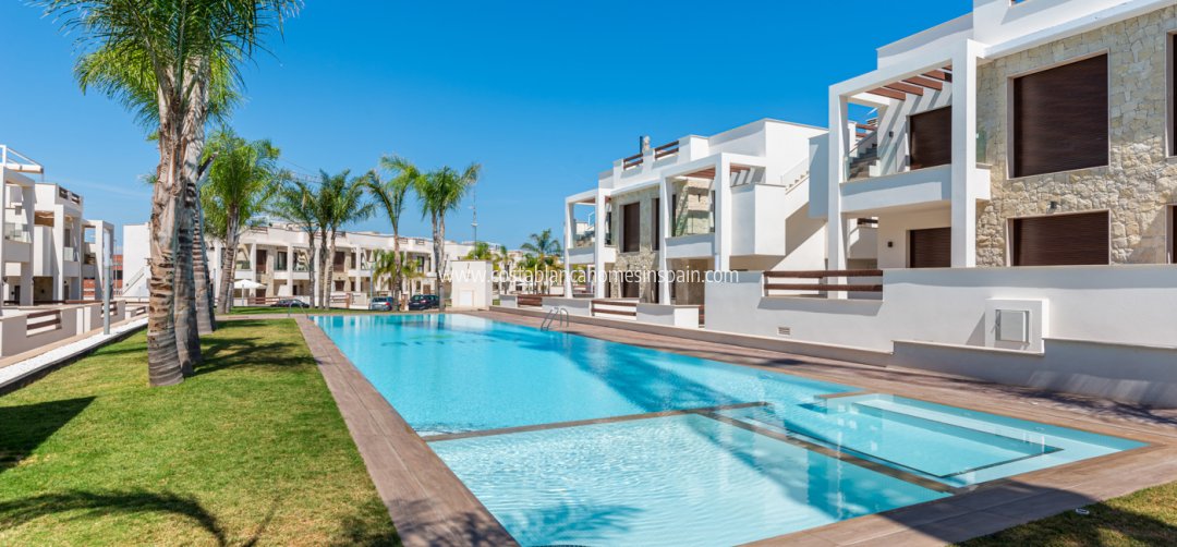 Apartment - Nybygg - Torrevieja - Torrevieja