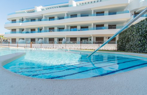 Apartment - Obra Nueva - Playa Flamenca - Playa Flamenca