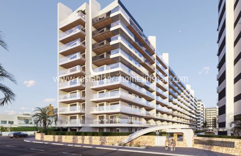 Apartment - Obra Nueva - Punta Prima - Punta prima , Orihuela Costa