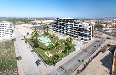 Apartment - Obra Nueva - San Miguel de Salinas - San Miguel de Salinas