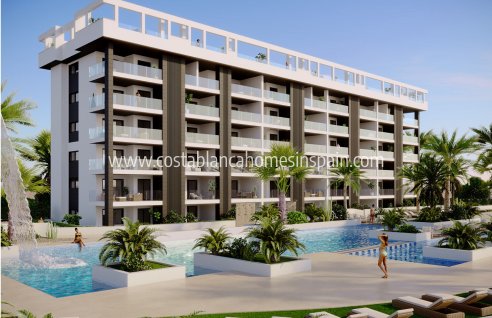 Apartment - Obra Nueva - Torrevieja - NB-50014