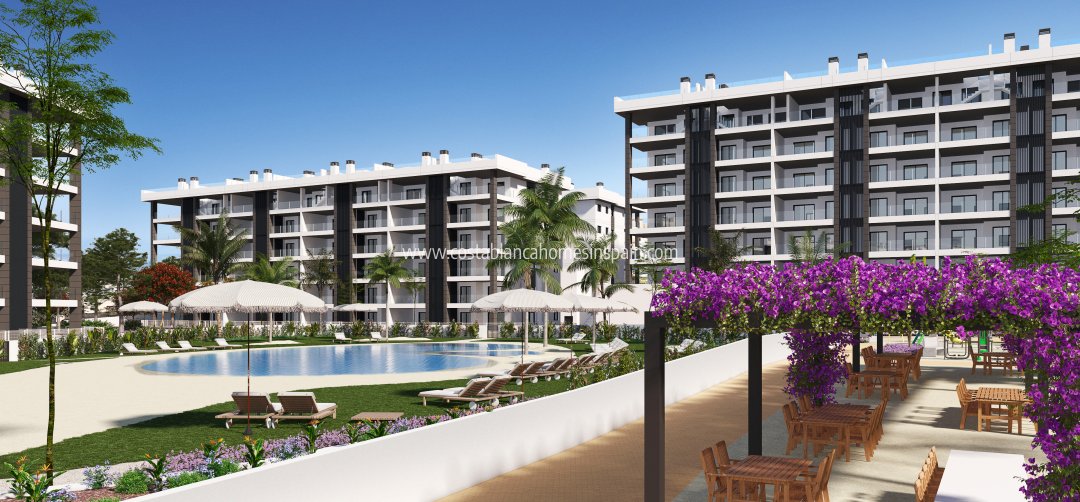 Apartment - Obra Nueva - Torrevieja - Torrevieja