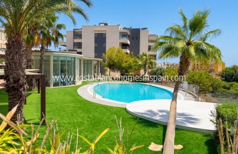 Apartment - Re-salg - Orihuela Costa - La Zenia