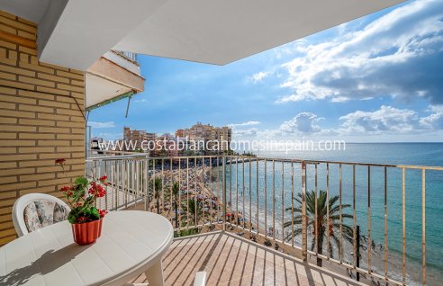 Apartment - Re-salg - Torrevieja - Torrevieja