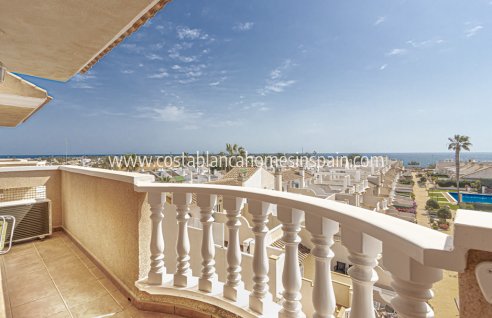 Apartment - Resale - Cabo Roig - Cabo Roig