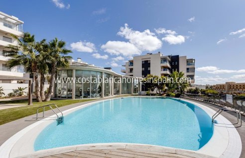 Apartment - Resale - Los Dolses - Los Dolses