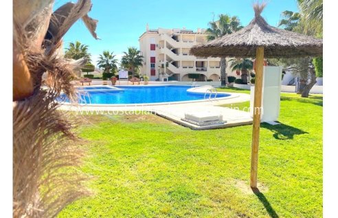 Apartment - Resale - Playa Flamenca - Orihuela Costa